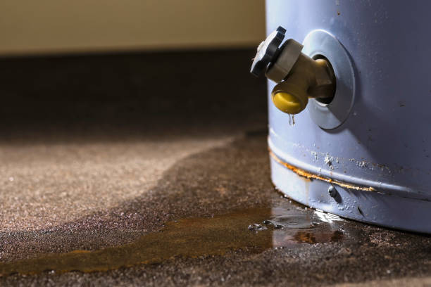 Best Water damage restoration near me  in Goodhue, MN