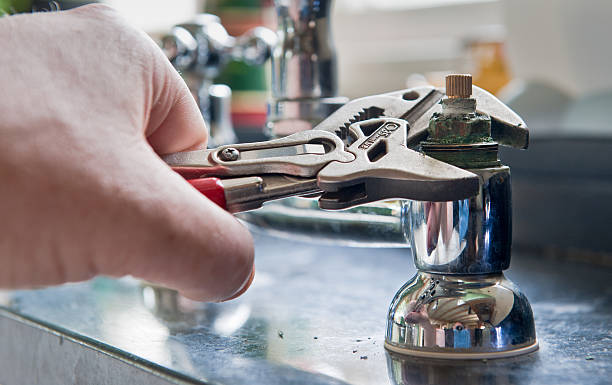 Best Water damage cleanup near me  in Goodhue, MN