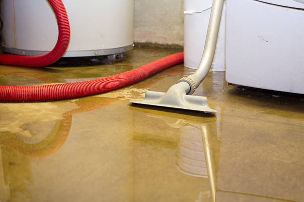 Best Sewage cleanup and water damage restoration  in Goodhue, MN