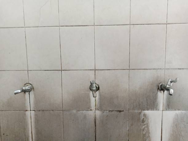 Carpet water damage restoration in Goodhue, MN