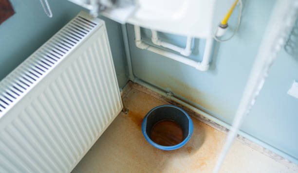 Trusted Goodhue, MN Water damage restoration Experts
