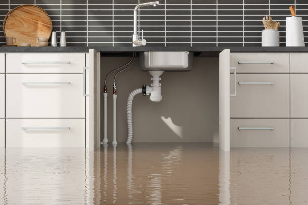 Best Local water damage restoration  in Goodhue, MN