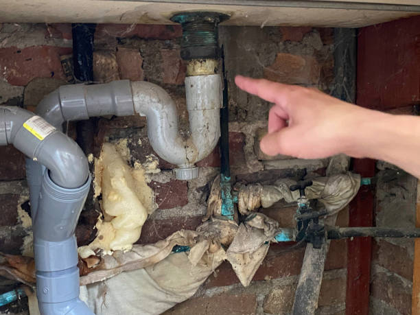 Best Mold removal after water damage  in Goodhue, MN