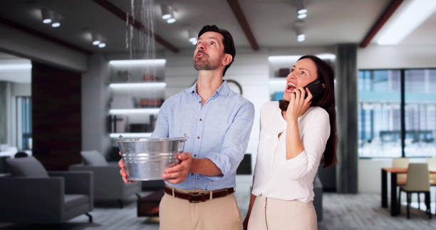 Trusted Goodhue, MN Water damage restoration Experts