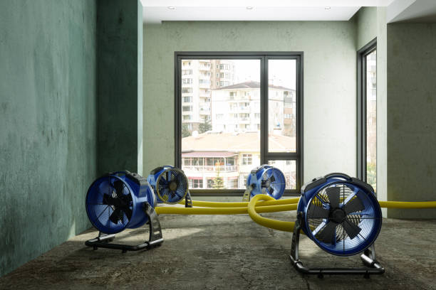 Best Residential water damage restoration  in Goodhue, MN
