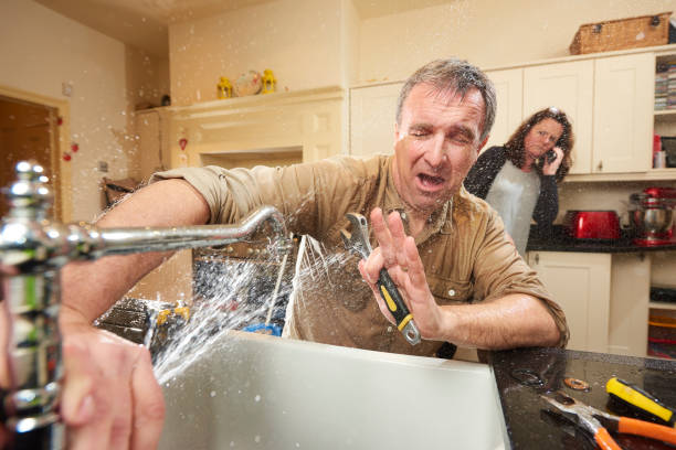 Best Flooded house restoration  in Goodhue, MN